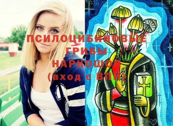 mdma Белокуриха