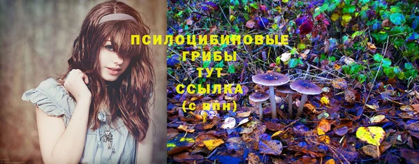 mdma Белокуриха